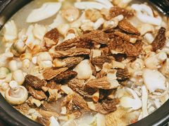 -野菌皇海景野生菌火锅(滨海大道店)