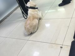 -宠颐生中康贝怡动物医院