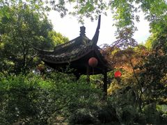 -上海醉白池公园