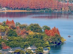 -九曜山