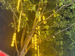 -风波庄(罍街分舵)