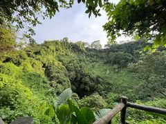 -海口火山口国家地质公园