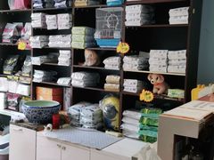 -瑞派·关忠动物医院·异宠专科·犬猫肿瘤·皮肤专科(望京店)