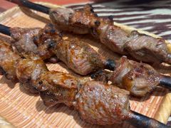 红柳烤肉-新疆伊宁远征餐厅