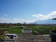 -翠田Green Field Kitchen