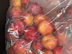 -西郊国际农产品交易中心