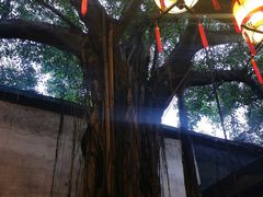 -文儒九号·闽菜馆(三坊七巷店)