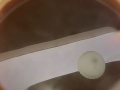 -奈雪的茶(领展中心城店)