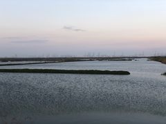 -大湾区中央湿地公园-十九涌
