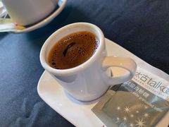 -Efes Turkish & Mediterranean Cuisine 艾菲斯餐厅(陆家嘴店)
