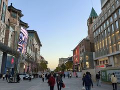 -翠园(北京王府中环店)