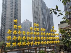 -瑞虹新天地月亮湾