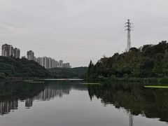 -重庆彩云湖湿地公园