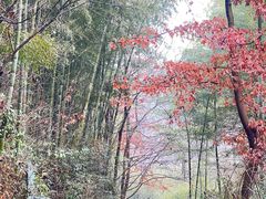 -会稽山峡洞漂流-上青古道