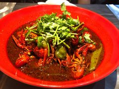 -红辣椒·川菜·火锅(张杨路店)
