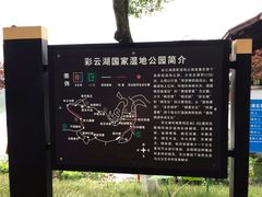 -重庆彩云湖湿地公园