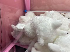 -+WAWA夹娃娃专门店·抓娃娃