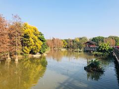 -海珠湖公园