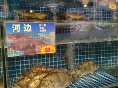 -陶缘一号·四季缘·老字号顺德菜·户外婚礼家宴(西滘店)
