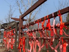 -江苏三台山国家森林公园