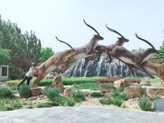 -武清南湖绿博园