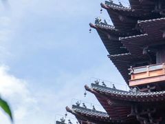 -杭州半山国家森林公园