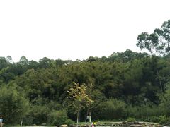 -火炉山森林公园