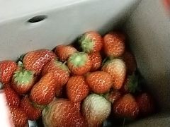 -小鱼草莓采摘园农家乐·小鱼餐厅