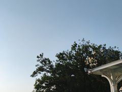 -太平山顶