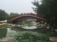 -西安华清御汤酒店