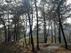 -峙山公园