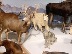 -陕西自然博物馆