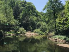 -洛阳白云山景区