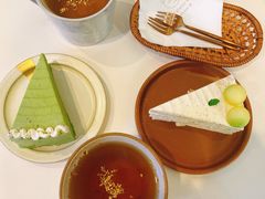 开心果千层-叶太YETAI(良库店)