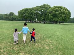 -东方绿舟景区