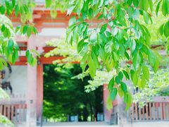 -醍醐寺
