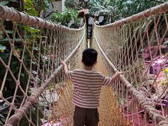 -正佳雨林生态植物园