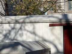 -北京鲁迅博物馆(北京新文化运动纪念馆鲁博馆区)