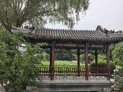 -莲池书院博物馆