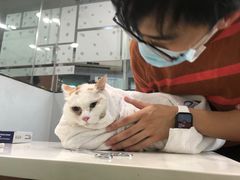 -瑞派动物医院·绝育·犬猫全科·预防医学(光景江南中店)