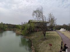 -南湖湿地公园