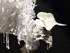 -成都许燎源现代设计艺术博物馆