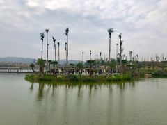 -枫香湖儿童公园