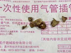 -北京观赏动物医院·24小时大型综合·猫专科·异宠专科