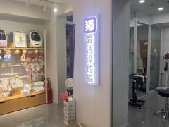 -爱洗澡的猫(望京店)