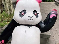 -都江堰中华大熊猫苑