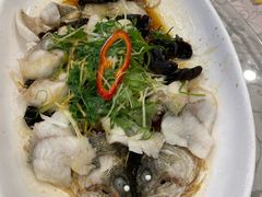 特色蒸鲜鲈鱼-新塘畔酒楼(里水大道北店)