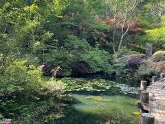 -杭州半山国家森林公园