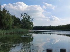 -大兴滨河森林公园