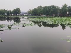 -南宁南湖公园